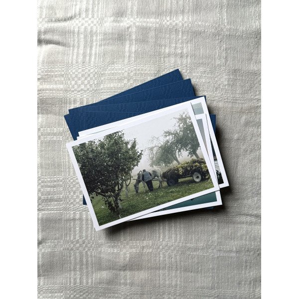 Набор открыток Belarus-5