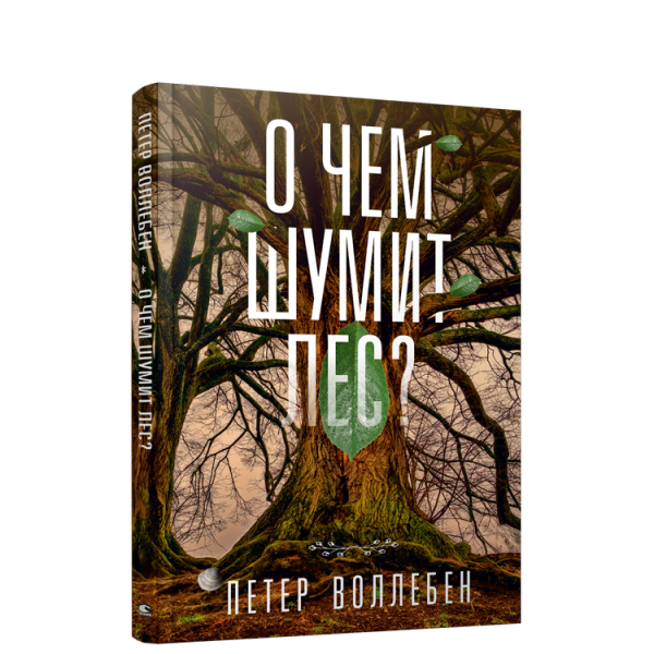 О чём шумит лес?