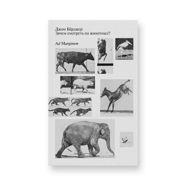 Зачем смотреть на животных?