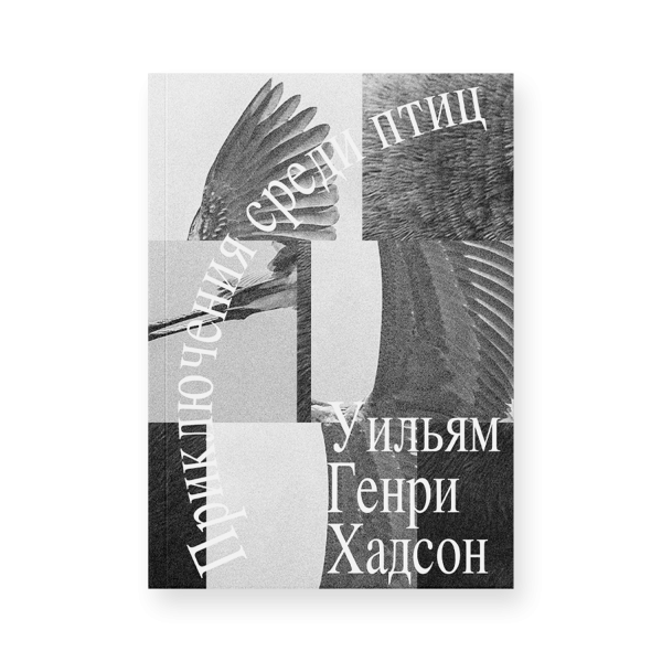 Приключения среди птиц