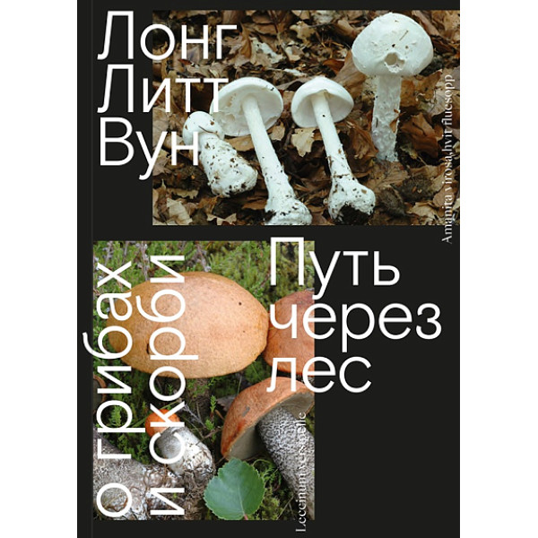 Путь через лес. О грибах и скорби Путь через лес. О грибах и скорби