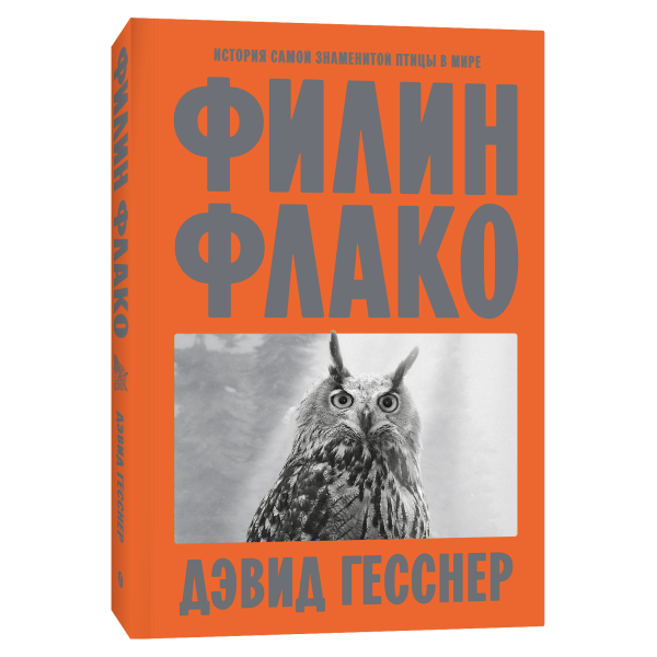 Филин Флако. История самой знаменитой птицы в мире