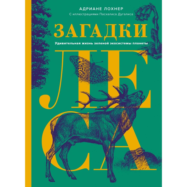 Загадки леса Загадки леса