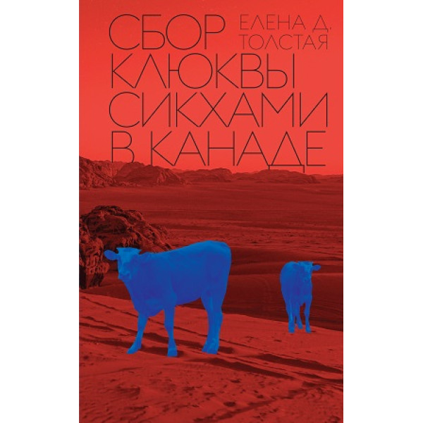 Сбор клюквы сикхами в Канаде